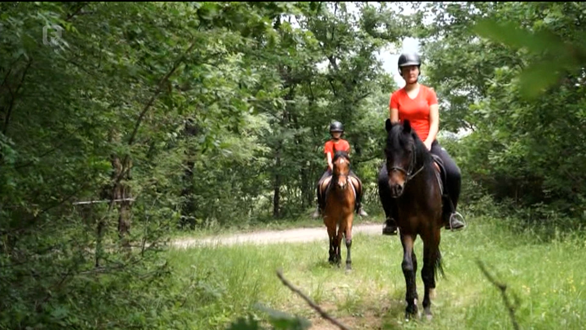 Konjički klub Stina nudi mogućnost aktivnog turizma za cijelu obitelj